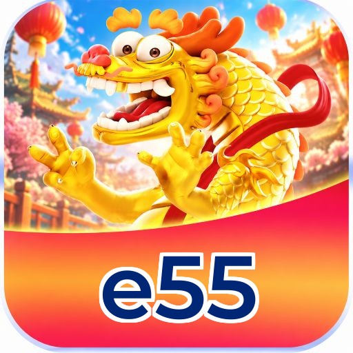 e55 Licenciado Curaçao - Segurança SSL 256-bit