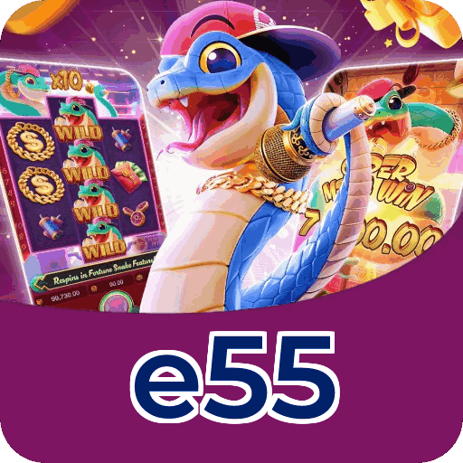 e55